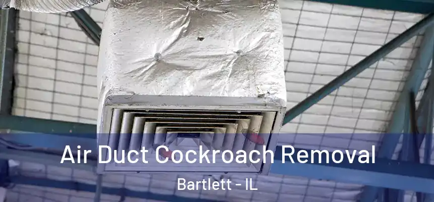 Air Duct Cockroach Removal Bartlett - IL