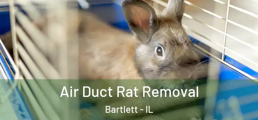  Air Duct Rat Removal Bartlett - IL