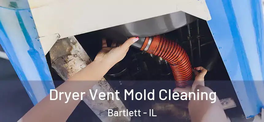  Dryer Vent Mold Cleaning Bartlett - IL