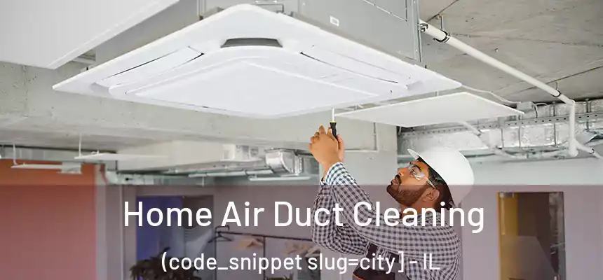  Home Air Duct Cleaning (code_snippet slug=city] - IL