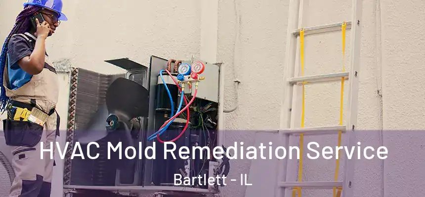 HVAC Mold Remediation Service Bartlett - IL