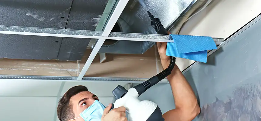 Our Air Duct Rodent Removal Services in Bartlett, IL