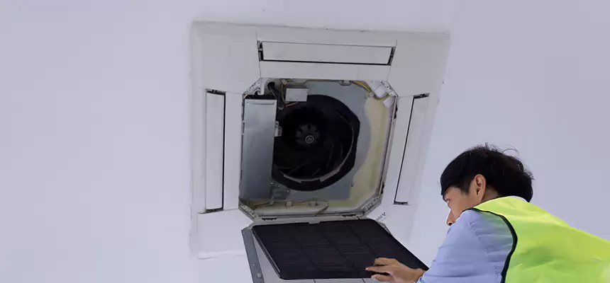 Our Dryer Vent Sanitization Service Services in Bartlett, IL