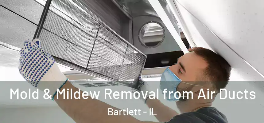  Mold & Mildew Removal from Air Ducts Bartlett - IL