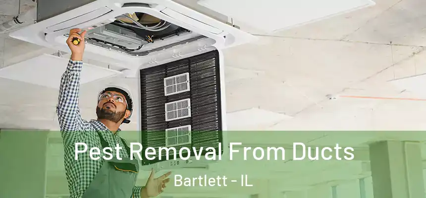 Pest Removal From Ducts Bartlett - IL