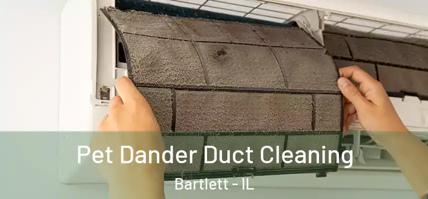 Pet Dander Duct Cleaning Bartlett - IL