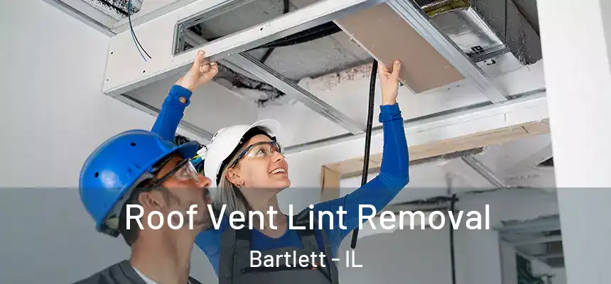 Roof Vent Lint Removal Bartlett - IL