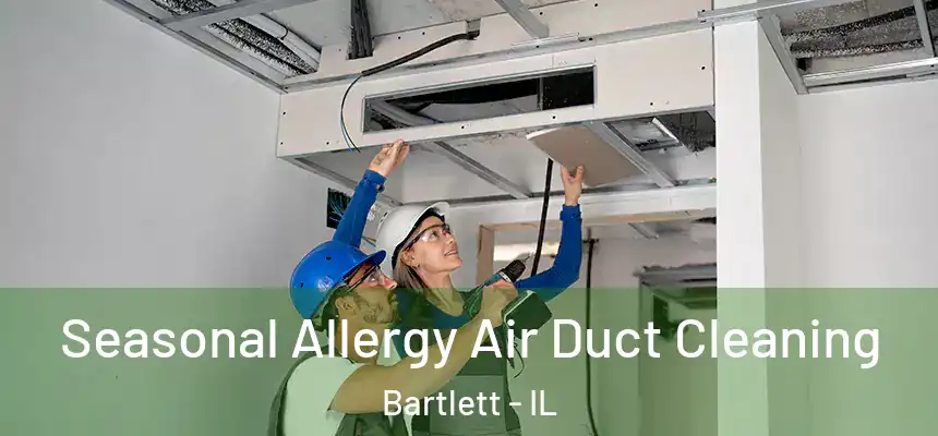  Seasonal Allergy Air Duct Cleaning Bartlett - IL
