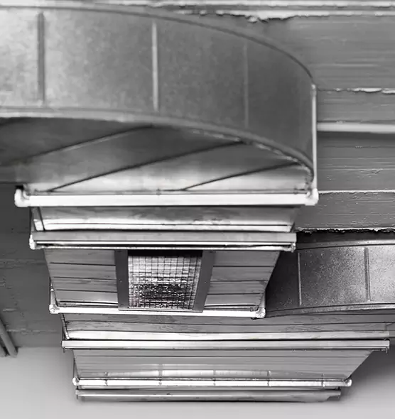 Professional Air Duct Pest Removal in Bartlett, IL