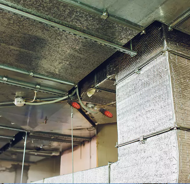 Why Homeowners & Businesses Trust Us in Bartlett, IL?