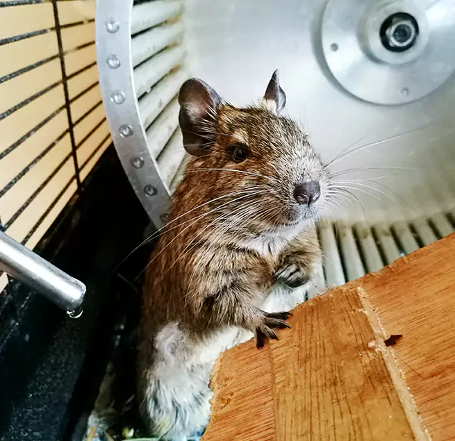 Why Homeowners & Businesses Trust Us Bartlett, IL