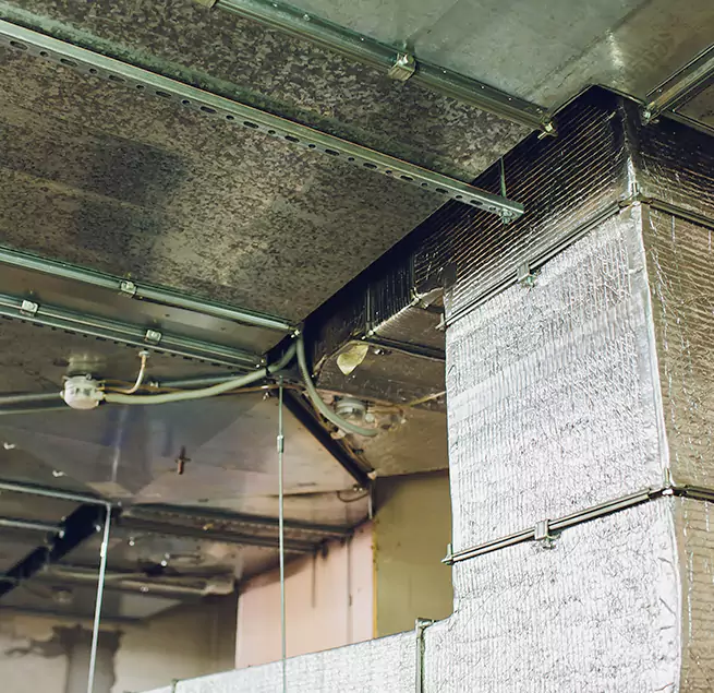 Why Homeowners & Businesses Trust Us in Bartlett, IL?